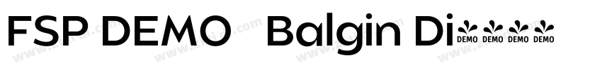 FSP DEMO   Balgin Di字体转换